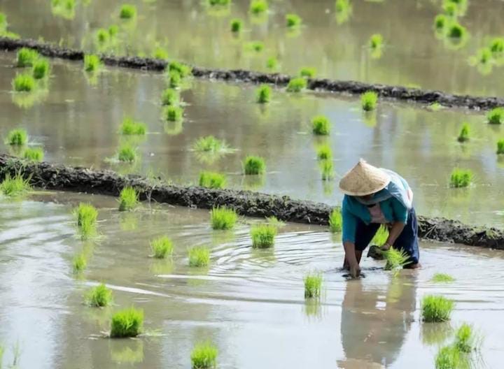 7ecfddcb-eb98-4bd0-bb2a-e7b005793bbe