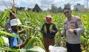 1e1bd36d-6fa5-4a3d-acb8-5b3728b2edd9